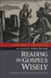 Reading the Gospels Wisely: A Narrative and Theological Introduction - eBook