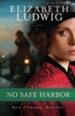 No Safe Harbor - eBook