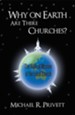 Why on Earth Are There Churches?: The Biblical Mission of the Local Church - eBook