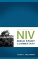 NIV Bible Study Commentary - Slightly Imperfect