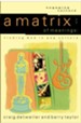 Matrix of Meanings, A: Finding God in Pop Culture - eBook