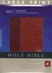 NLT Slimline Reference Bible, Large Print TuTone Leatherlike  Brown/Tan, Thumb-Indexed