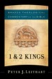 1 & 2 Kings (Brazos Theological Commentary on the Bible Book #) - eBook