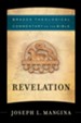 Revelation (Brazos Theological Commentary on the Bible Book #) - eBook