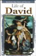 Life of David, Pamphlet
