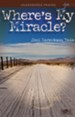 Where's My Miracle?, Pamphlet