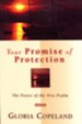 Your Promise of Protection: The Power of the 91st Psalm - eBook