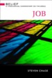 Job: A Theological Commentary on the Bible - eBook