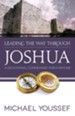 Leading the Way Through Joshua: A Devotional Commentary for Everyone - eBook