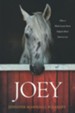 Joey: How a Blind Rescue Horse Helped Others Learn to See