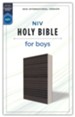 NIV Holy Bible for Boys--soft leather-look, gray