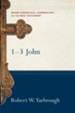 1-3 John (Baker Exegetical Commentary on the New Testament) - eBook