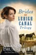 Brides of Lehigh Canal Trilogy