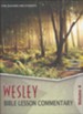 Wesley Bible Lesson Commentary, Volume 4