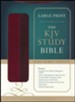 KJV Study Bible, Large Print, Leather, imitation
