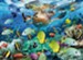 Underwater Paradise Puzzle, 150 Pieces