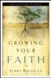 Growing Your Faith: How to Mature in Christ - eBook