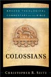 Colossians (Brazos Theological Commentary on the Bible) - eBook