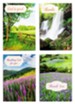 Nature Landscapes Thank You Cards with Scripture (KJV), Box of 12