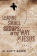 Leading Small Groups in the Way of Jesus - eBook