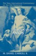 The Book of Amos: New International Commentary on the Old Testament