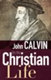 On The Christian Life - eBook