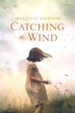 Catching the Wind - eBook