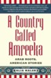 A Country Called Amreeka: Arab Roots, American Stories - eBook