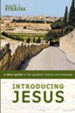 Introducing Jesus: A Short Guide to the Gospels' History and Message - eBook