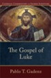 The Gospel of Luke (Catholic Commentary on Sacred Scripture) - eBook