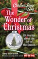 Chicken Soup for the Soul: The Wonder of Christmas: 101 Stories about the Joy of the Season - eBook