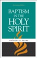 Baptism in the Holy Spirit - eBook