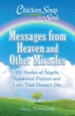 Chicken Soup for the Soul: Messages from Heaven and Other Miracles - eBook
