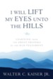 I Will Lift My Eyes Unto the Hills: Learning from the Great Prayers of the Old Testament - eBook