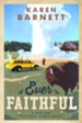 Ever Faithful: A Vintage National Parks Novel - eBook