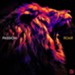 Roar (Live from Passion 2020), CD