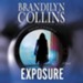 Exposure Audiobook [Download]