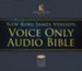 NKJV Voice Only Audio Bible Audiobook [Download]