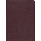 Esv Spanish Bible Leather