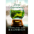 Divine Appointments, Snowglobe Connections Series #2 Large Print