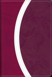 NIV Thinline Reference Bible, Compact Edition (Italian Duo-Tone) Zondervan