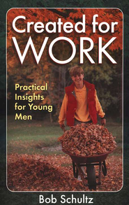 Created for Work: Practical Insights for Young Men Bob Schultz