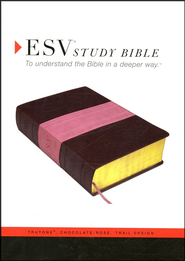 ESV Study Bible TruTone Chocolate/Rose -