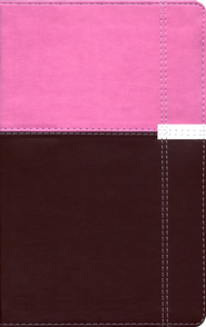 NIV Life Application Study Bible, Personal Size, Italian Duo-Tone, Orchid/Chocolate 1984 Zondervan