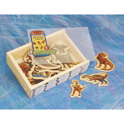 Magnetic Dinosaurs in a Box   -     By: Melissa & Doug
