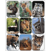 Wildlife Animals (real photos)  - 