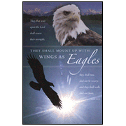 Wings As Eagles, Bulletins, 100