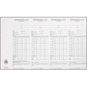 Individual Stewardship Record And Report (w/IRS Statement SR11)   - 