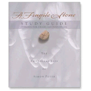 A Fragile Stone - Abridged Audiobook [Download]