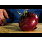 Onion [Video Download]